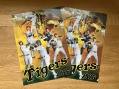 非売品】阪神タイガース 甲子園球場来場記念グッズ2026 クリアファイル