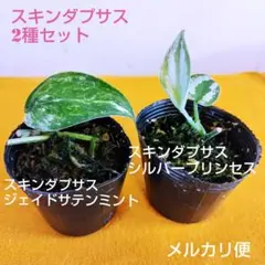 ぅち様 リクエスト 2点 まとめ商品