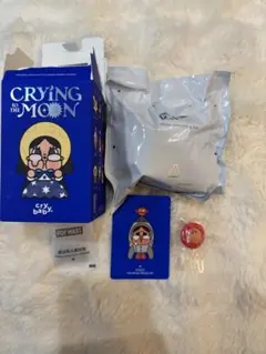 POP MART CRYING TO THE MOON フィギュア