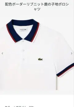 LACOSTE 配色ボーダーリブニット鹿の子地ポロシャツ