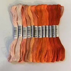 【C14】刺繍糸☆オレンジ系12本