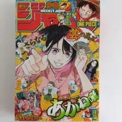 週刊少年ジャンプ ONE PIECE 特典付き