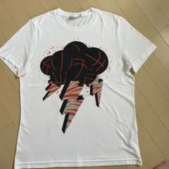 Reebok Tシャツ ホワイト L