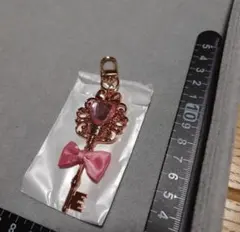 ディズニーストア　シークレットキーチェーン　キーホルダー　オーロラ姫