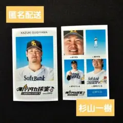 【杉山一樹】ホークス シークレット証明写真風スマロイド タイプB