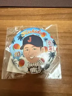 湯浅大　うちわ　闘魂ガチャ　ジャイアンツガチャ 2025年最新】GIANTSガチャの人気アイテム - メルカリ