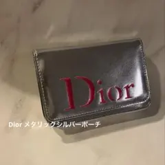 Dior シルバーメタリックポーチ