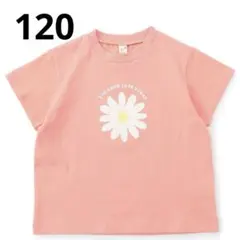 アプレレクール　花柄プリント Tシャツ 120cm ピンク