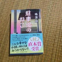 駐車場のねこ