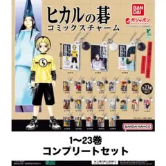 ヒカルの碁 ヒカ碁 ピンズ 5種13点セット ヒカルの碁 ヒカ碁 ピンズ 5種13点セット