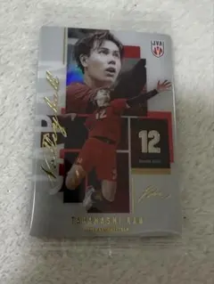 高橋藍　バレーボール　ツインウエハース　日本代表