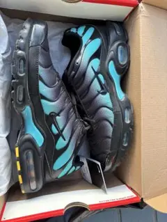 Nike Air Max plus エアマックス　プラス　オーロラグリーン　黒