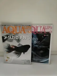 月刊アクアライフ 2冊セット 2019年5月号、 2020年10月号