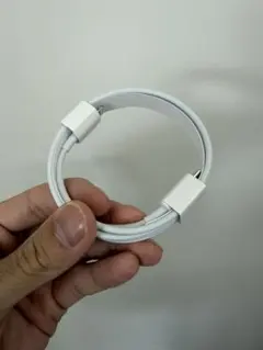 iPhone Apple純正　USB-C to Lightningケーブル