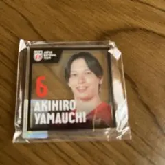 バレーボール日本代表 山内晶大 アクリルマグネット