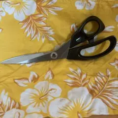 Item thumbnail for item 79872f0f-4dbc-49c3-aa13-56ca05a446b6