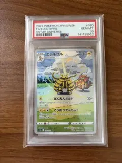 ユキカブリ AR PSA10 - メルカリ