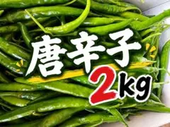 激辛青唐辛子❗ 2kg 農薬を使わない農家直送 - メルカリ