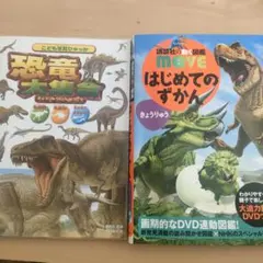 しほ様 リクエスト 2点 まとめ商品