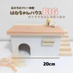 Item thumbnail for item 11a7aaf2-1f90-40a9-b7cb-b33351cf7f9a