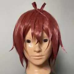 2026年最新】ツイステ コスプレ ウィッグの人気アイテム - メルカリ