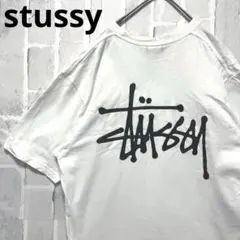 stussy ステューシー 半袖 Tシャツ ショーンフォント M ビッグロゴ