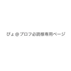 2026年最新】プロフ必読の人気アイテム - メルカリ
