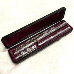 2026年最新】Maxtone フルートの人気アイテム - メルカリ