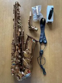 2025年最新】CannonBall サックスの人気アイテム - メルカリ