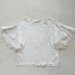 Item thumbnail for item 9ab0ac1d-8c24-41d0-adab-d877dade8cae