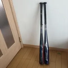 Item thumbnail for item 12f46451-2597-47b8-9b69-2eca1450e886