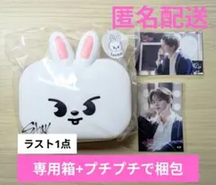 Stray Kids スキズ オンラインくじ D賞 ボックス リービット リノ