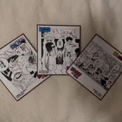ジャンプフェスタ 色紙 ワンピース ロボ子 HUNTER × HUNTER