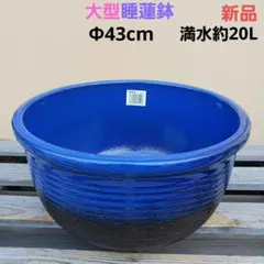 2026年最新】水鉢 大型の人気アイテム - メルカリ