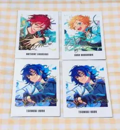 あんスタ ぱしゃっつ 9周年 Switch