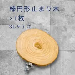 欅円形止まり木（3L）002