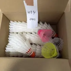 バトミントン中古シャトル - メルカリ