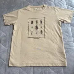 mont-bell 昆虫プリント Tシャツ　ウィックロン 140