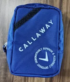 Item thumbnail for item 7363bef9-9a3b-4a68-9c46-ef4f29b55c1f