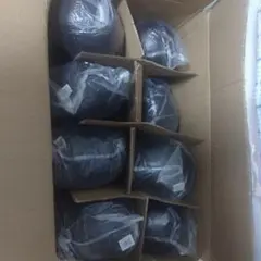 Item thumbnail for item d4054109-509f-4055-8a2f-553d1c1e63f0