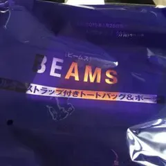 雑誌付録   ビームス  ショルダーストラップ付きトートバックポーチ29×36