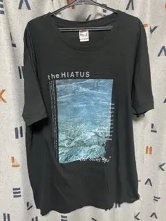 2026年最新】the hiatus tシャツ lの人気アイテム - メルカリ