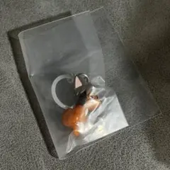 ハイキュー つながリングチャーム マスコット Vol.2 ガチャ サムキツネ