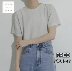 センスオブプレイス ラメTシャツ クルーネック シルバー カットソー フリー半袖のサムネイル