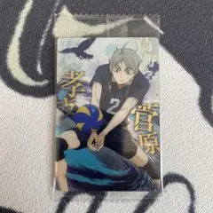 ハイキュー ウエハース 菅原孝支