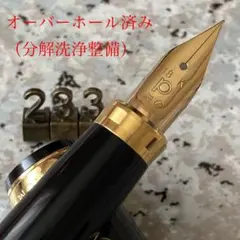 326 オーバーホール済み 万年筆 PILOT 蝕刻 ロング 18k WG - メルカリ