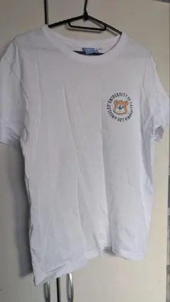 UCLA ホワイト Tシャツ Mサイズのサムネイル
