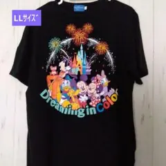 東京ディズニーリゾート Tシャツ Dreaming in Color