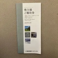 東急不動産ホールディングス株主優待券　最新版