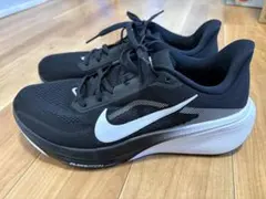 美品　NIKE ペガサス42 メンズ27.5cm
